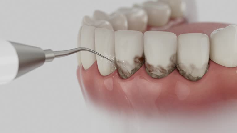 Reliable Dental contractor in Smithers, WV by Dentist Open Now